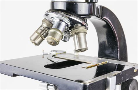 microscope mmoga|26.4: Microscopes .